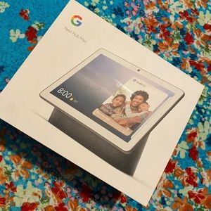 Google hub max